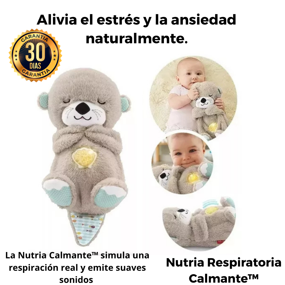Nutria Respiratoria Calmante™ → Alivia el estrés y la ansiedad naturalmente.